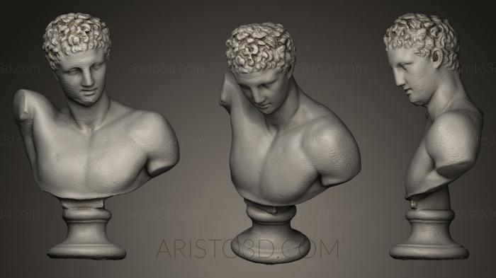 Busts and heads antique and historical (BUSTA_0128) 3D model for CNC machine